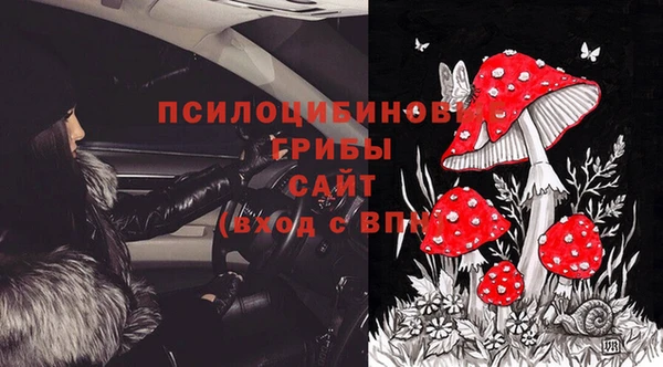 ПСИЛОЦИБИНОВЫЕ ГРИБЫ Балахна